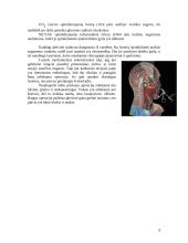 Nosies lygų gydymas lazeriu 9 puslapis