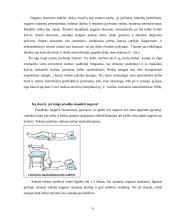 Nugaros skausmas 5 puslapis