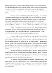 Onkologijos sąvoka ir reikšmė medicinai 2 puslapis