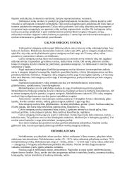 Onkologinės ligos 2 puslapis