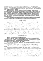 Onkologinės ligos 5 puslapis