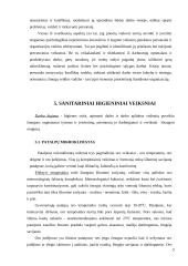 Optimalių darbo sąlygų sudarymas darbo vietoje 6 puslapis