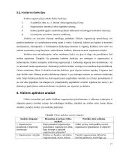 Organizacijos vidinės aplinkos organizavimas 17 puslapis