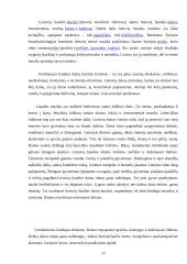 Originali kūryba. Lietuvių liaudies muzika 13 puslapis