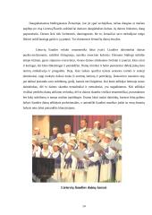 Originali kūryba. Lietuvių liaudies muzika 14 puslapis