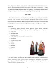 Originali kūryba. Lietuvių liaudies muzika 17 puslapis