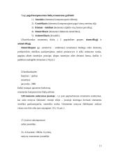 Ornamentas liaudies mene 11 puslapis