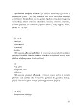 Ornamentas liaudies mene 12 puslapis