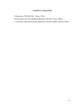 Ornamentas liaudies mene 13 puslapis