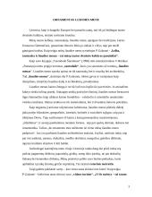 Ornamentas liaudies mene 3 puslapis