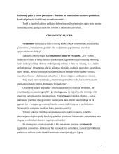 Ornamentas liaudies mene 4 puslapis