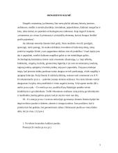 Ornamentas liaudies mene 5 puslapis