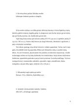 Ornamentas liaudies mene 6 puslapis