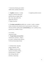 Ornamentas liaudies mene 8 puslapis