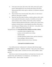 Ornamentas liaudies mene 10 puslapis