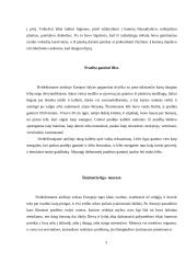 P. Ourednik "Europeana" 5 puslapis