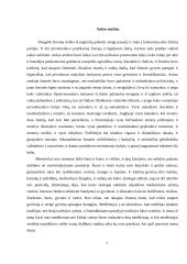 P. Ourednik "Europeana" 7 puslapis