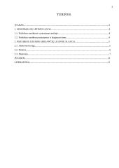 Pagyvenusių žmonių slauga 2 puslapis