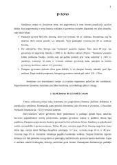 Pagyvenusių žmonių slauga 3 puslapis