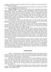 Pagonybė Lietuvoje 5 puslapis