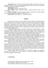 Pagonybė Lietuvoje 7 puslapis