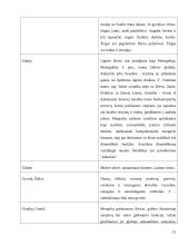 Pagoniškieji dievai, deivės, dvasininkai 14 puslapis