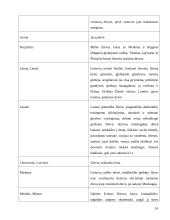 Pagoniškieji dievai, deivės, dvasininkai 15 puslapis