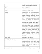 Pagoniškieji dievai, deivės, dvasininkai 16 puslapis