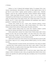 Pagoniškieji dievai, deivės, dvasininkai 5 puslapis