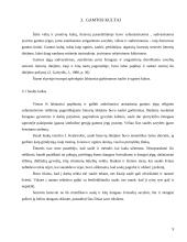 Pagoniškieji dievai, deivės, dvasininkai 8 puslapis