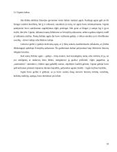 Pagoniškieji dievai, deivės, dvasininkai 9 puslapis