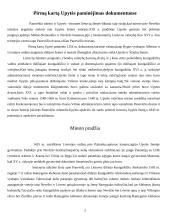 Panevėžio pradžia ir padėtis 2 puslapis