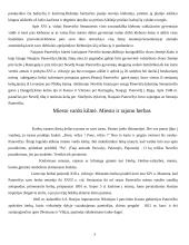 Panevėžio pradžia ir padėtis 3 puslapis