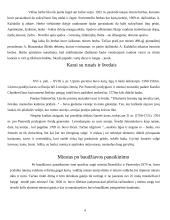 Panevėžio pradžia ir padėtis 4 puslapis