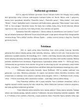 Panevėžio pradžia ir padėtis 7 puslapis