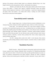 Panevėžio pradžia ir padėtis 8 puslapis