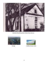 Panevėžio pradžia ir padėtis 10 puslapis