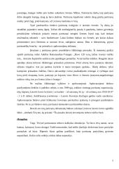 Partizanų gyvenimas ir buitis 5 puslapis