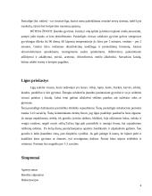 Pasiutligė 4 puslapis