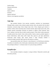 Pasiutligė 5 puslapis