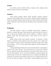 Pasiutligė 6 puslapis