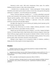 Pasiutligė 8 puslapis