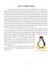 Pažintis su operacine sistema "Linux" 4 puslapis