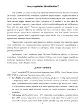 Pažintis su operacine sistema "Linux" 6 puslapis