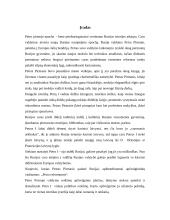 Petro Pirmojo vaidmuo Rusijos istorijoje 2 puslapis