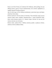 Petro Pirmojo vaidmuo Rusijos istorijoje 3 puslapis