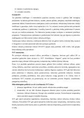 Pieno produktų technologinis aprašas 12 puslapis