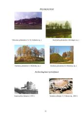 Piliakalniai, padavimai, legendos, archeologiniai tyrinėjimai Lietuvoje 13 puslapis