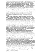 Pirmojo pasaulinio karo projektas 16 puslapis
