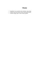 Pirmojo pasaulinio karo projektas 3 puslapis